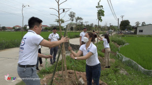 Xã Long Xá, Hưng Nguyên đầu tư gần 60 triệu đồng trồng cây xanh, nâng cao tiêu chí Nông thôn mới