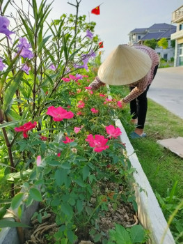 Long Xá: Con đường hoa phụ nữ tô thắm vẻ đẹp làng quê